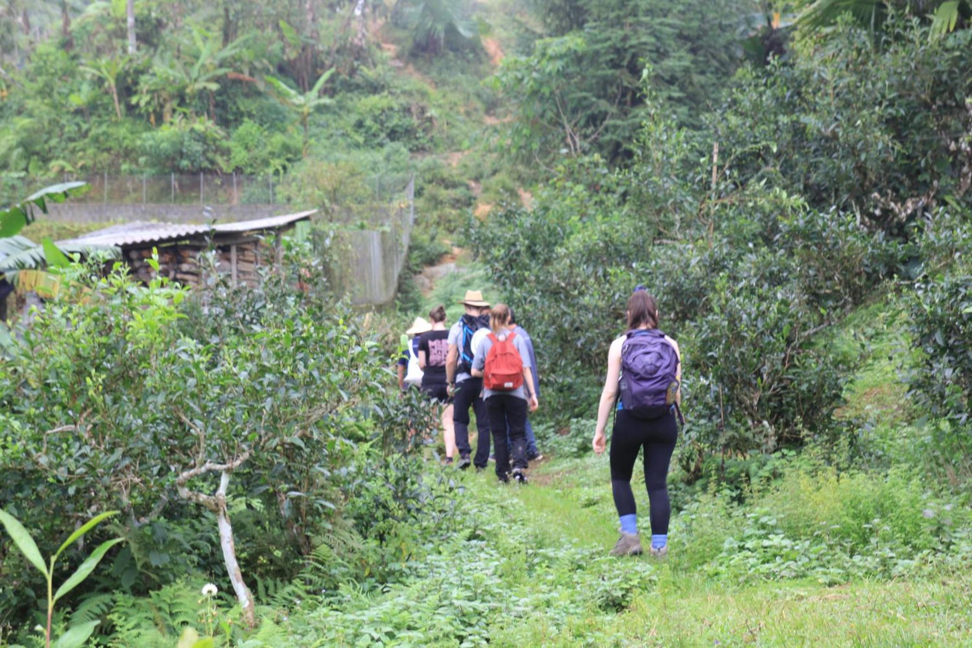 Thavill Retreat Hagiang Apartment Hà Giang Ngoại thất bức ảnh