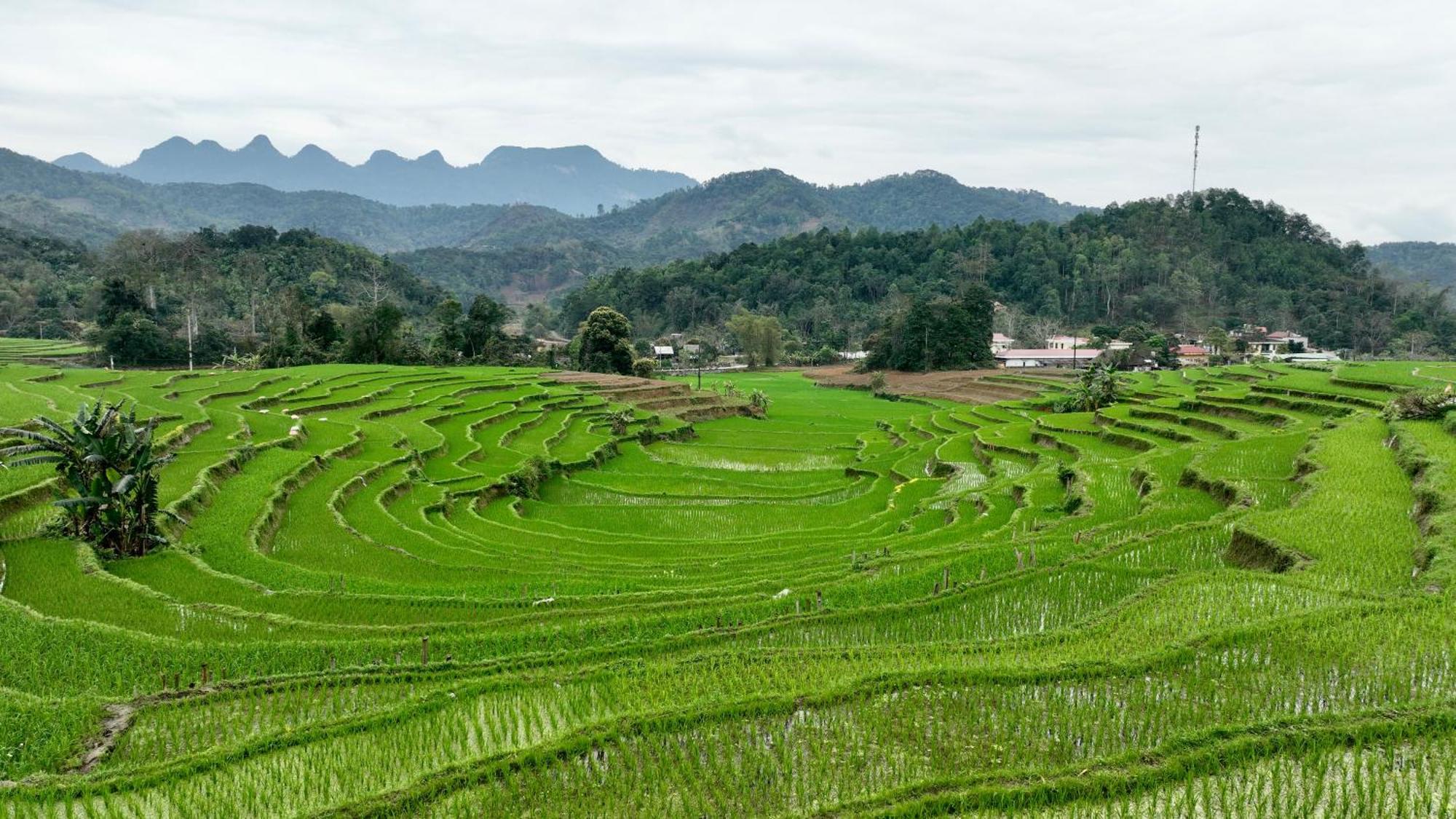 Thavill Retreat Hagiang Apartment Hà Giang Ngoại thất bức ảnh