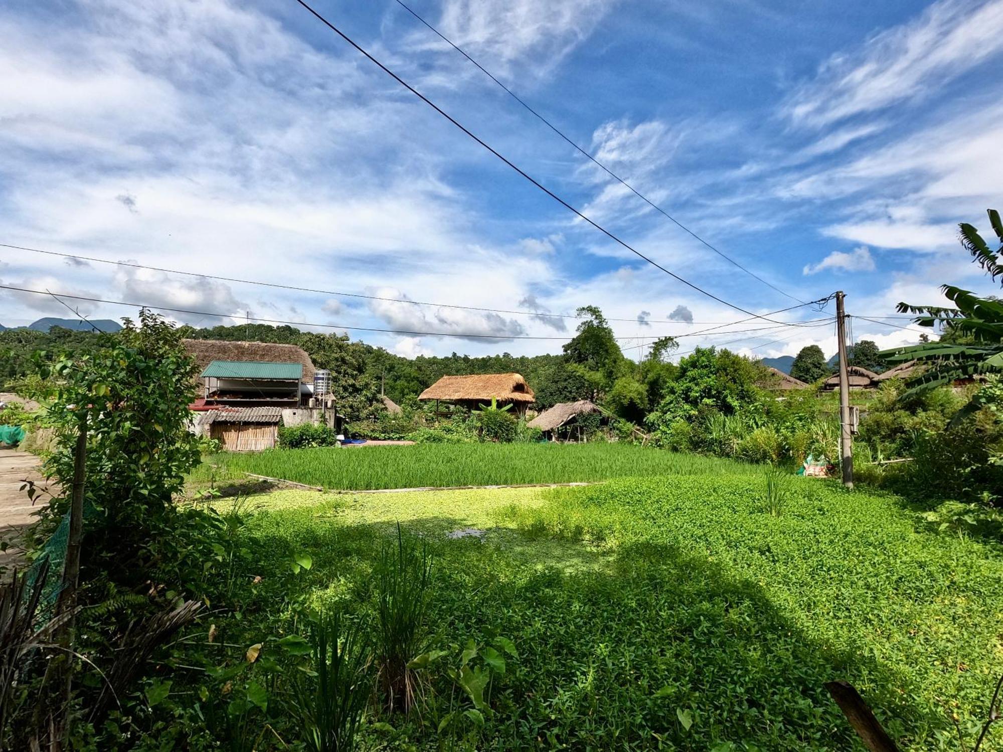 Thavill Retreat Hagiang Apartment Hà Giang Ngoại thất bức ảnh