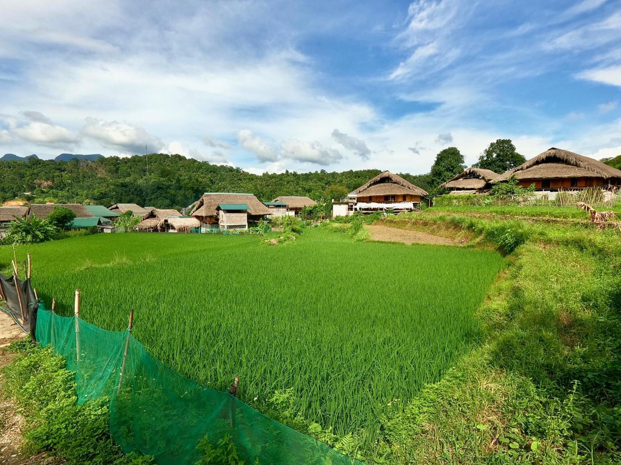 Thavill Retreat Hagiang Apartment Hà Giang Ngoại thất bức ảnh
