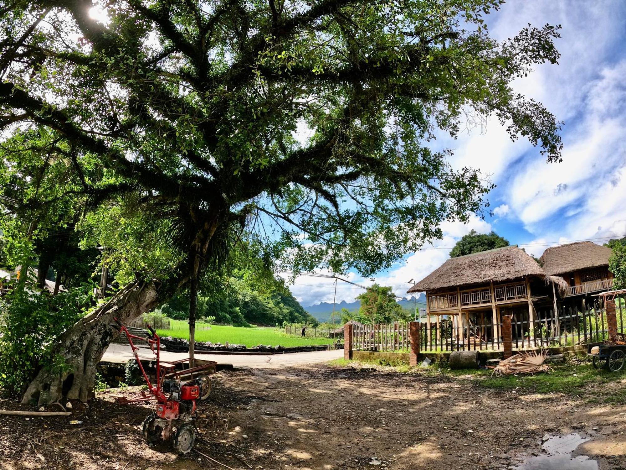 Thavill Retreat Hagiang Apartment Hà Giang Ngoại thất bức ảnh